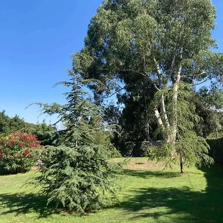 Location A Vecchio Lägenhet