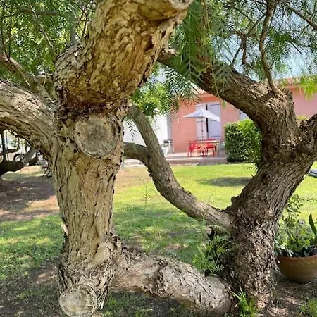 Location A Vecchio Apartament Porto-Vecchio (Corsica)