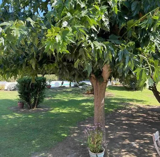 Location A Vecchio