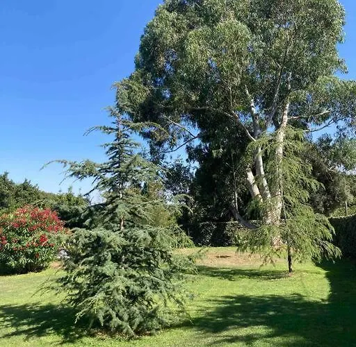 Location A Vecchio 公寓