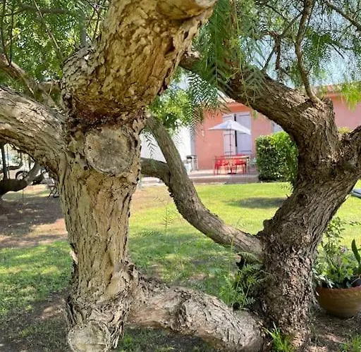 Location A Vecchio 公寓 维琪奥港