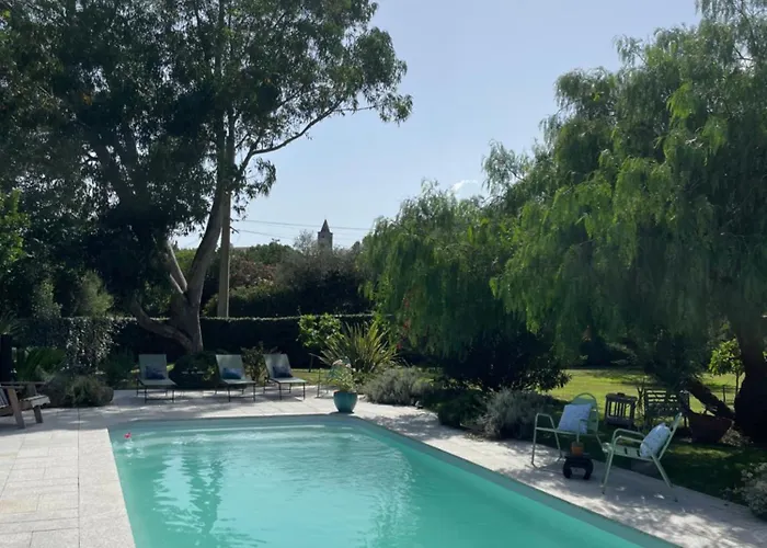 Location A Vecchio 维琪奥港